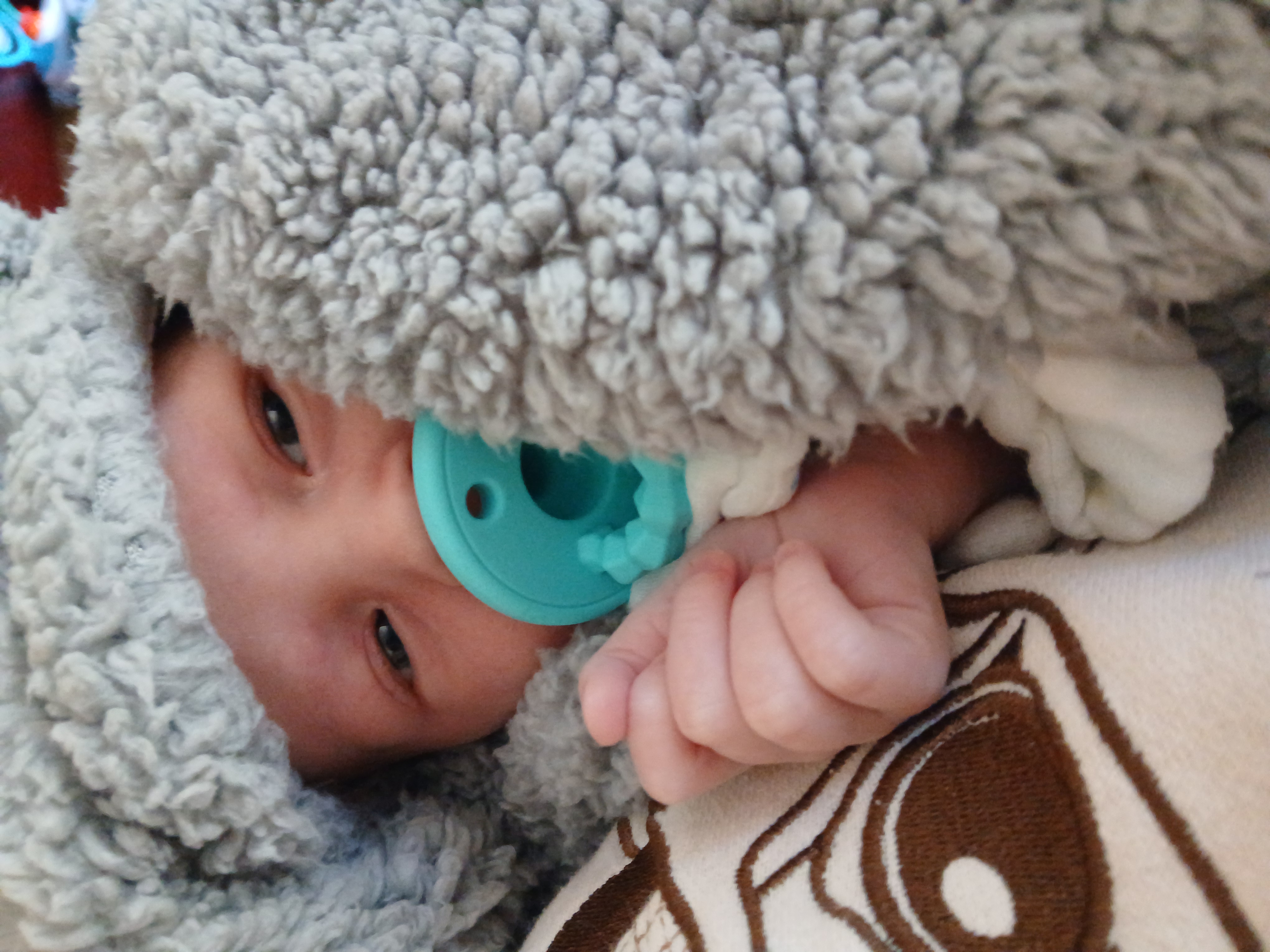 Photo from album Eyes are opening up!